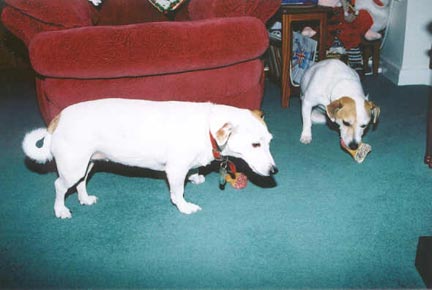 Buster and Lily